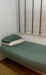 The Inflora (D17), Condominium #530874741